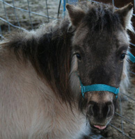 This is what I think about having my Picture Taken :p
